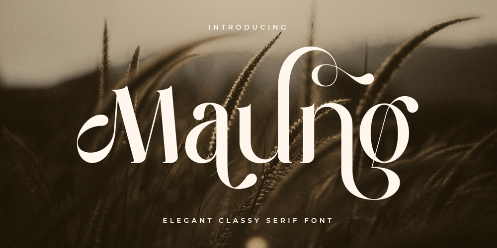 Maung font