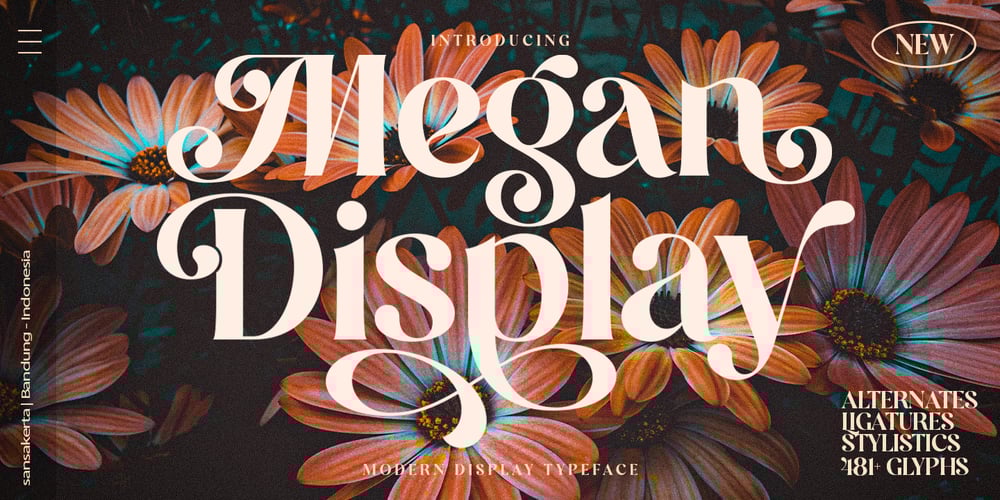 Megan Unique Display font