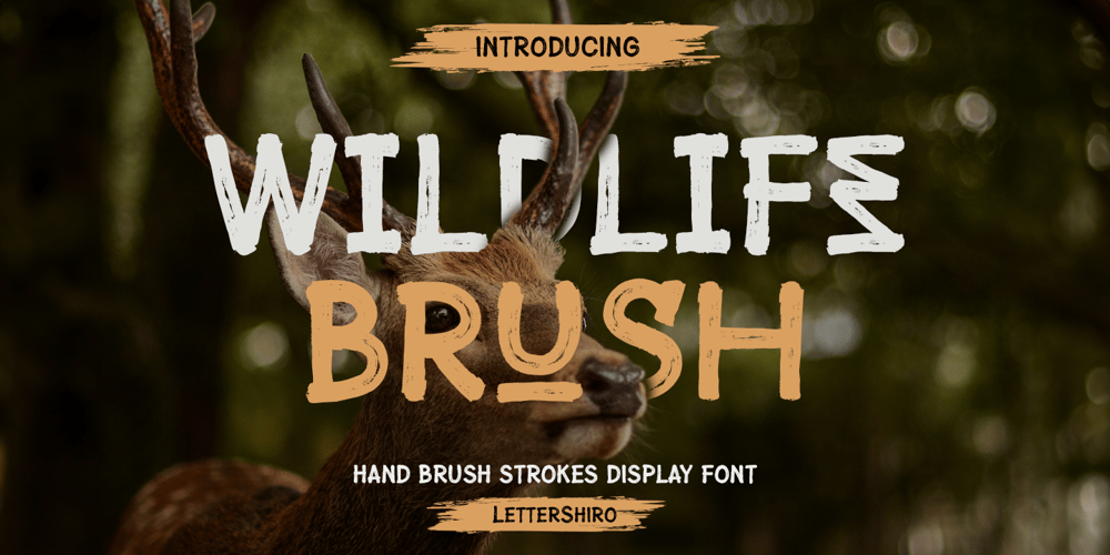 Wildlife Brush font