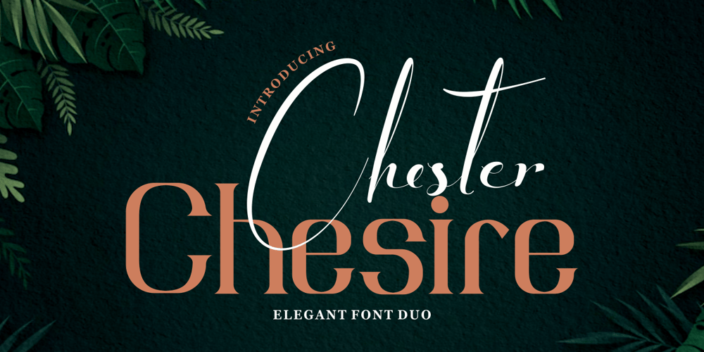 Chester Chesire font