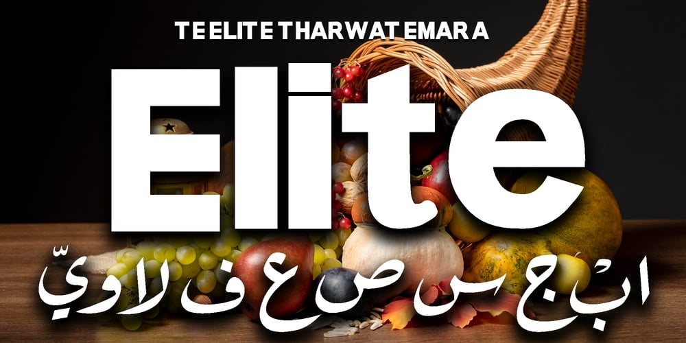 TE Elite Tharwat Emara font