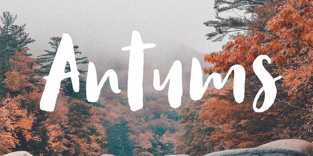 Antums Brush font
