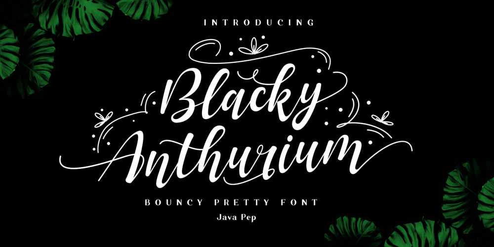 Blacky Anthurium font