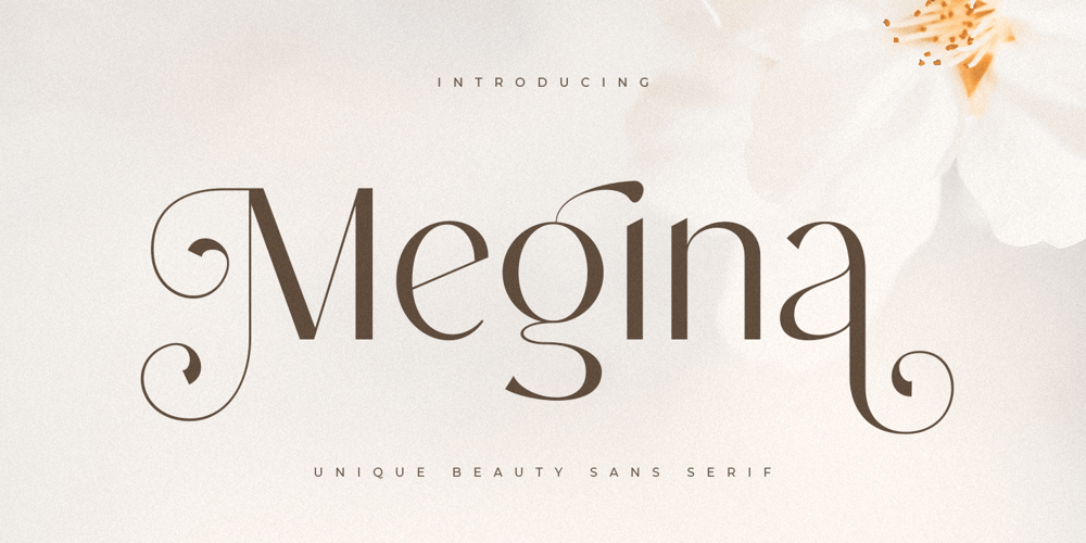 Megina font