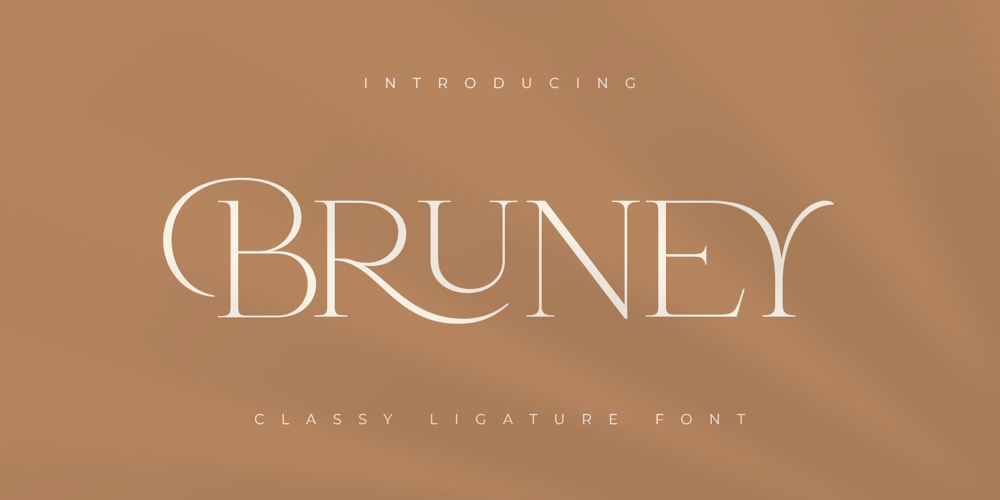 Bruney font