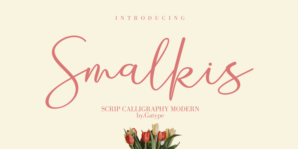 Smalkis font