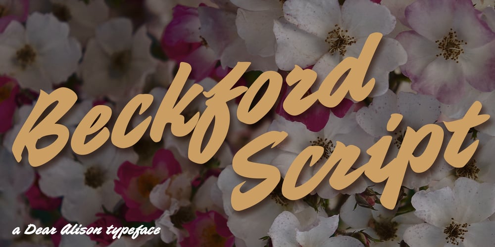 Beckford Script font