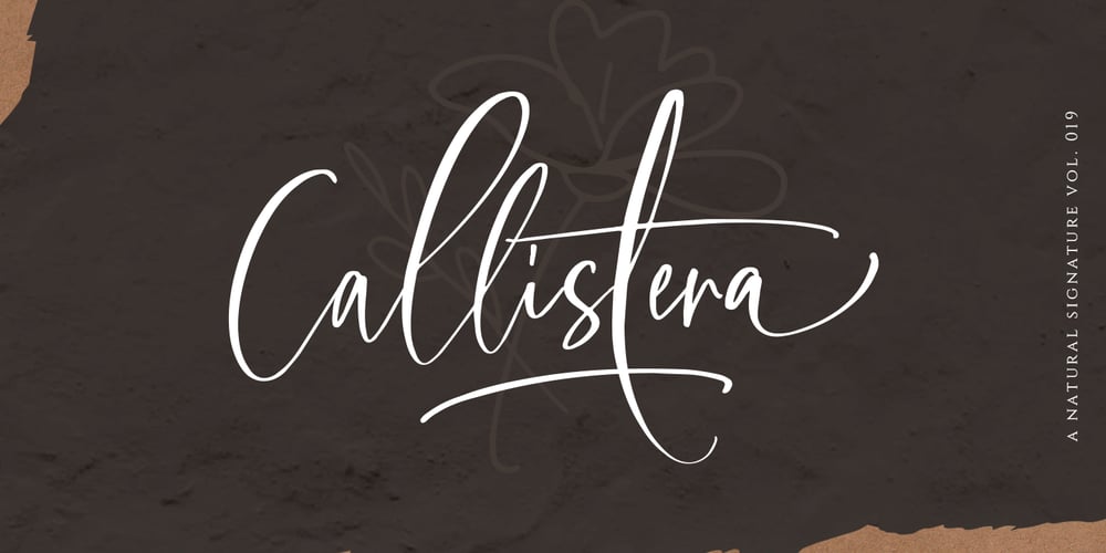 Callistera Script font