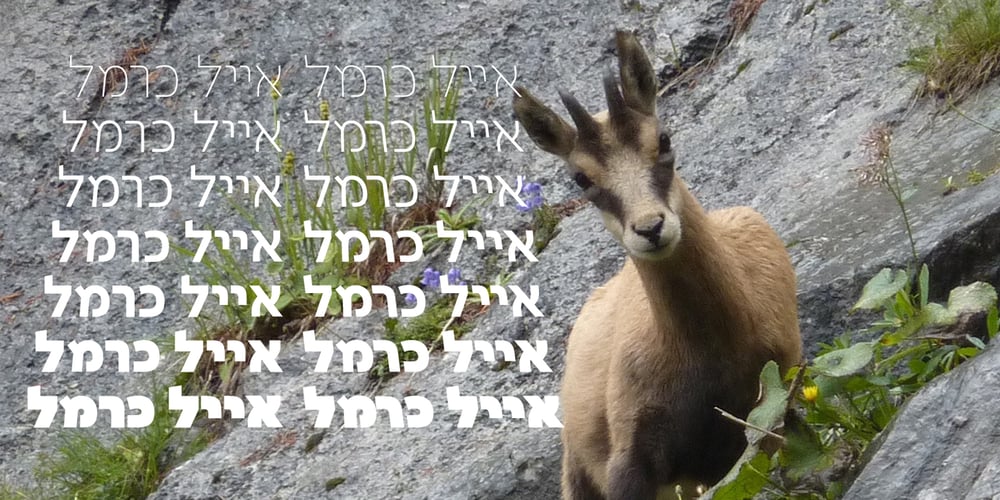 Isard Hebrew font