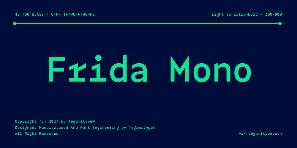 TG Frida Mono font