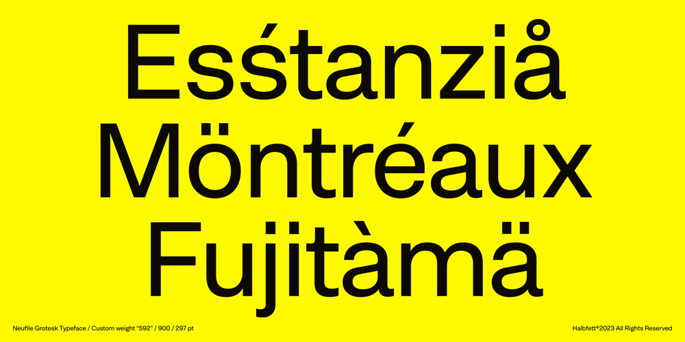 Neufile Grotesk font