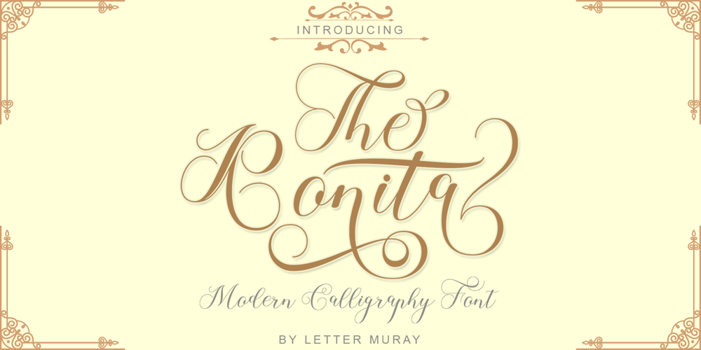 The Ronita font