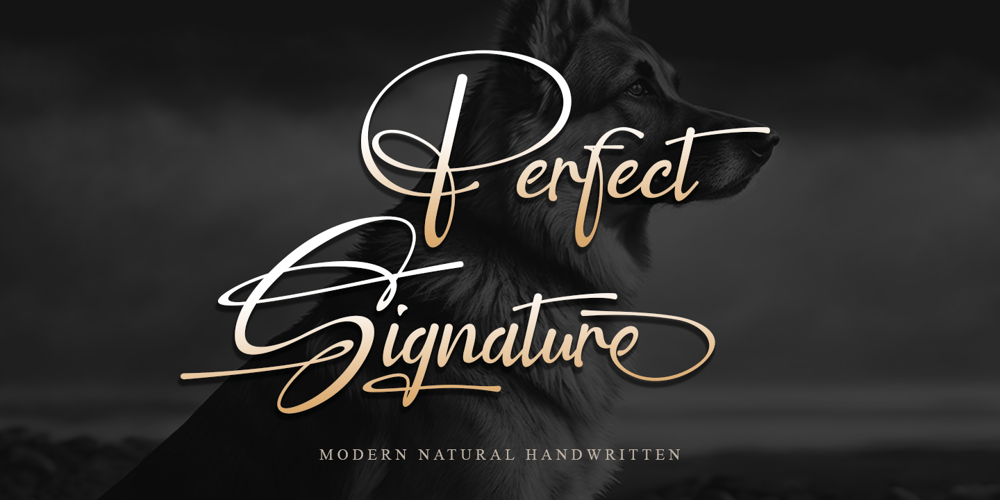 Perfect Signature font
