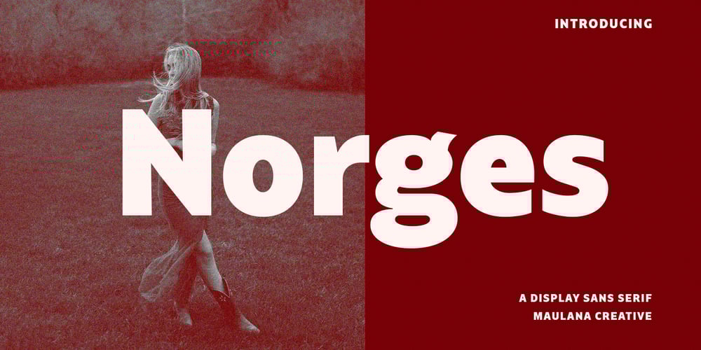 Norges font
