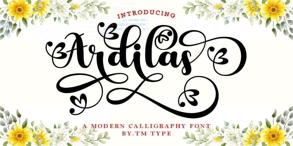 Ardilas font