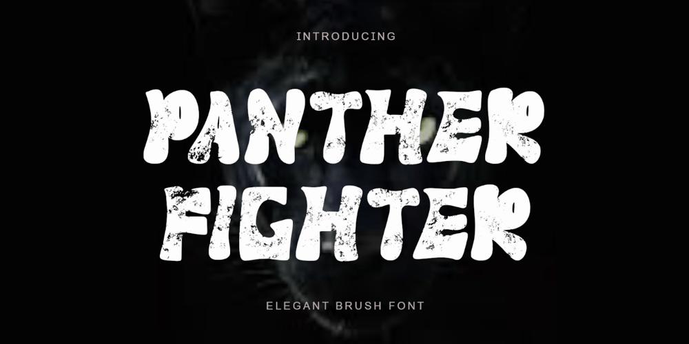 Panther Fighter font