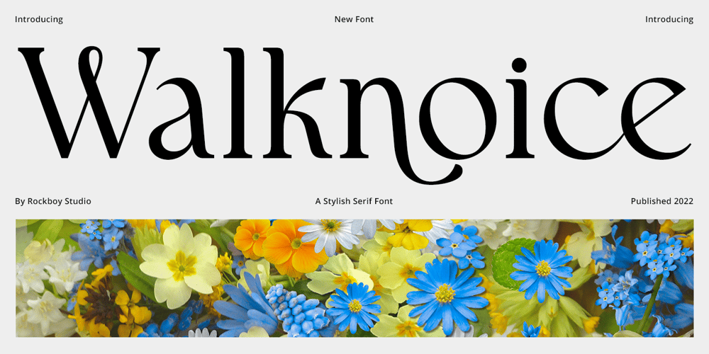 Walknoice font