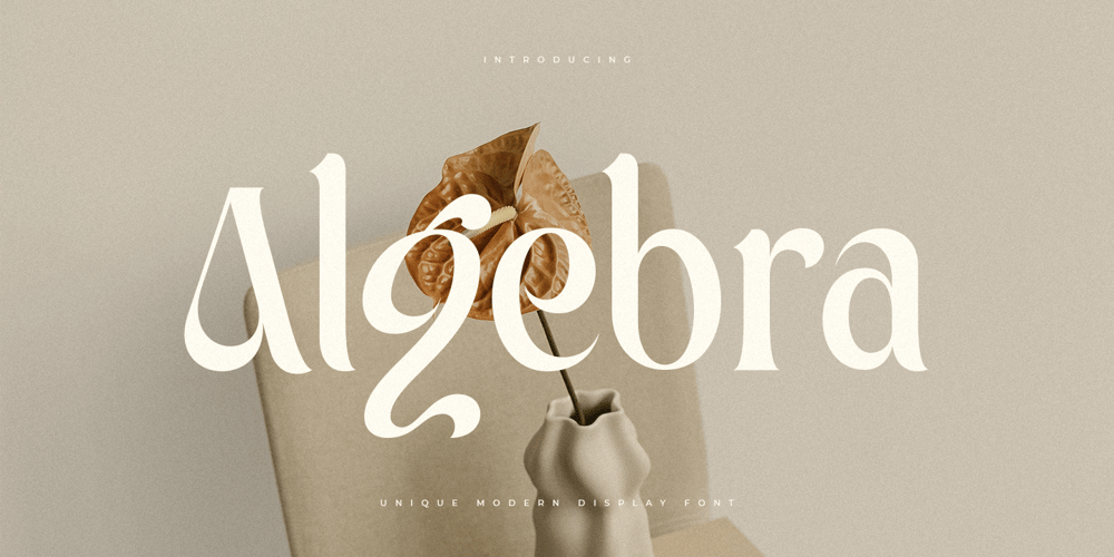 Algebra Style font
