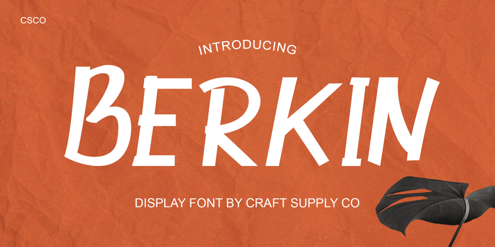 Berkin font