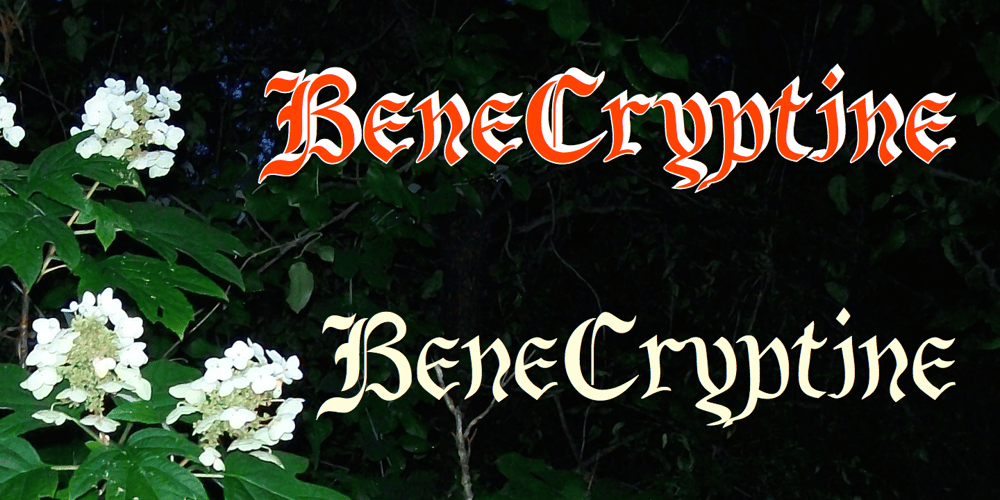 BeneCryptine font