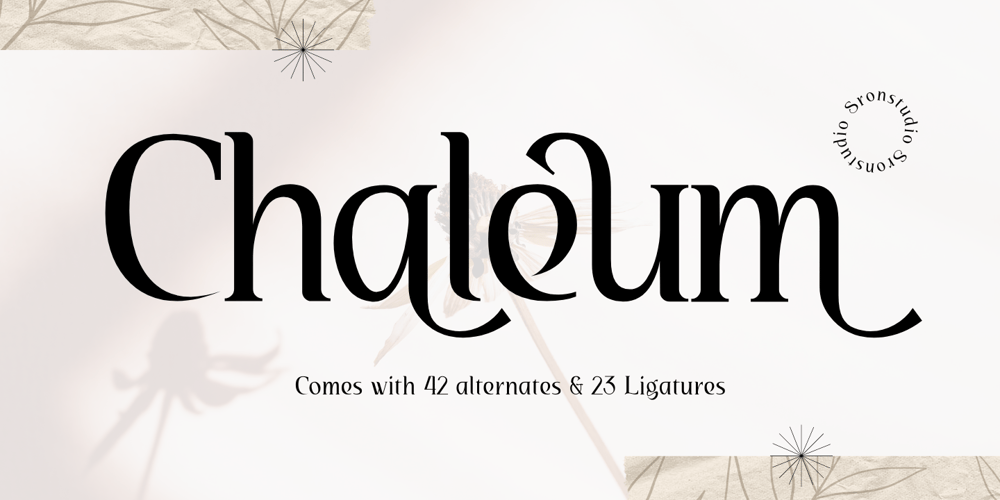 Chaleum font