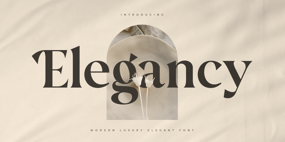 Elegancy Style font