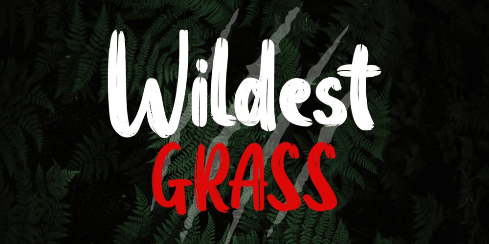 Wildest Grass font