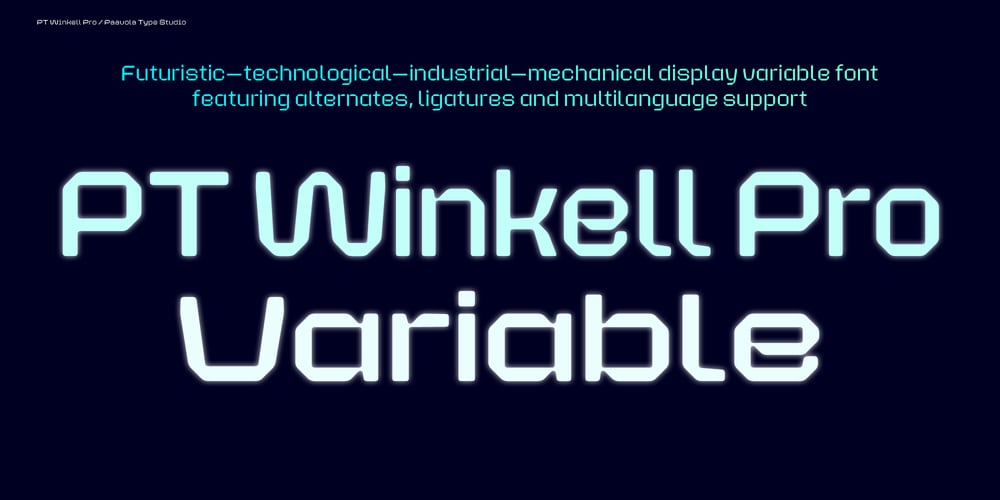 PT Winkell Pro Variable font