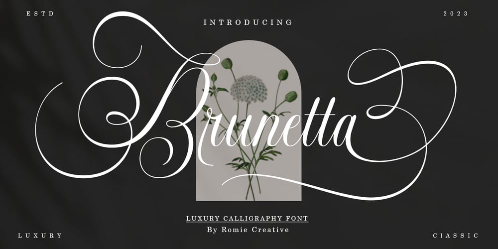 Brunetta Calligraphy font