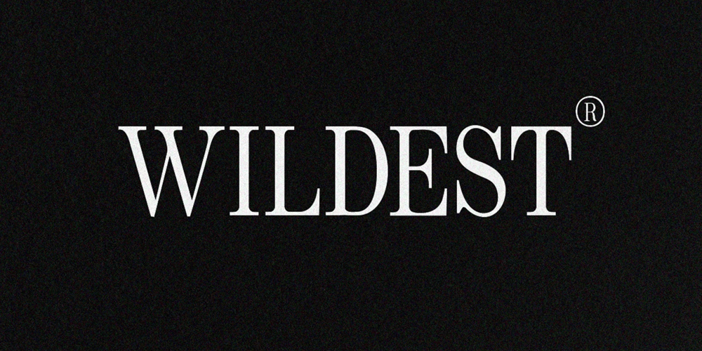 Wildest font