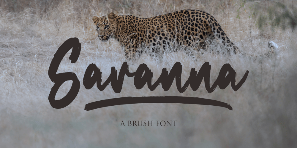 Savanna font