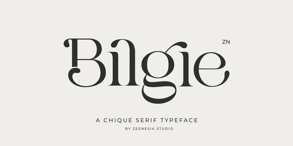 Bilgie font