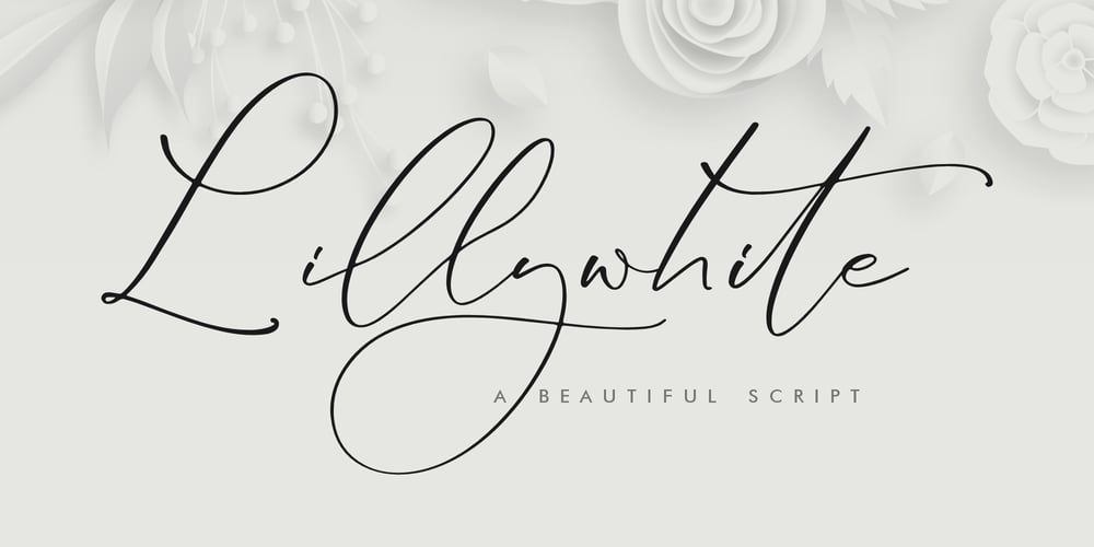 Lillywhite font