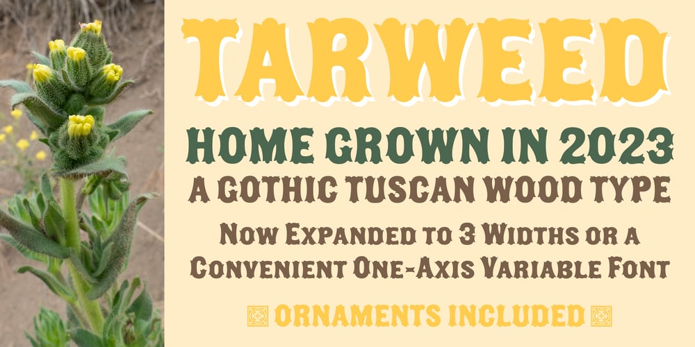 Tarweed font