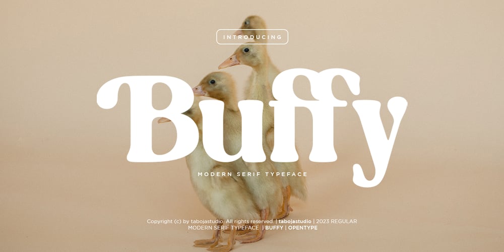 Buffy Serif font
