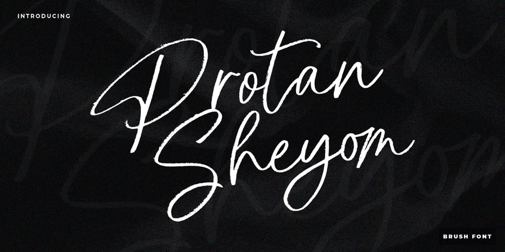Protan Sheyom font