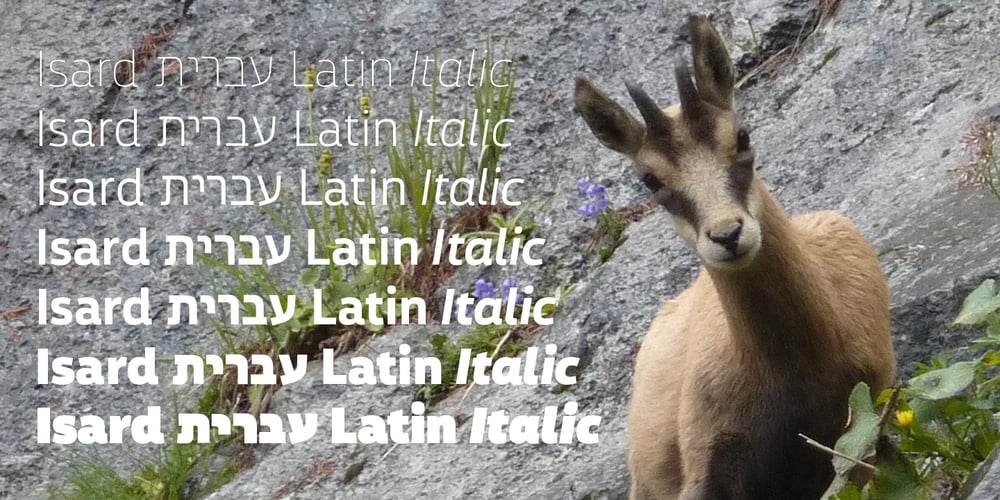 Isard Hebrew Latin font
