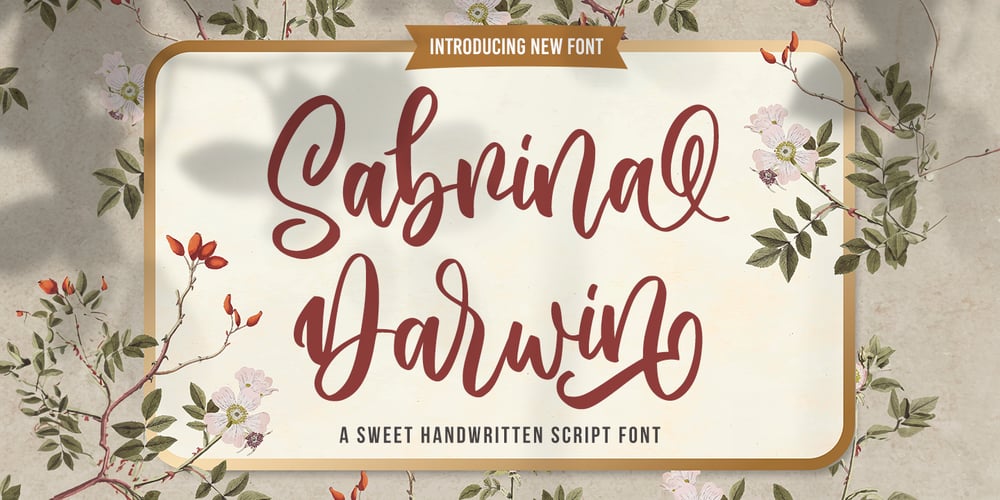 Sabrina Darwin font