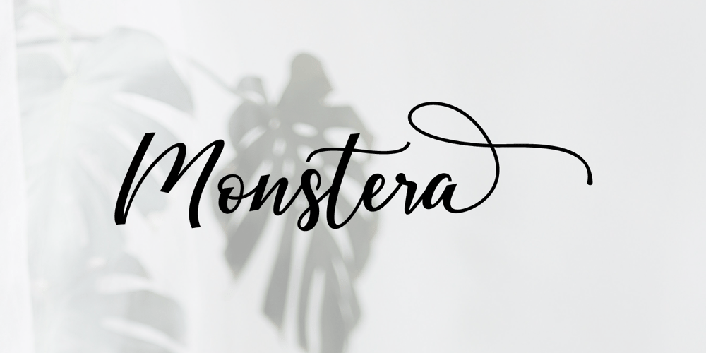 Monstera font