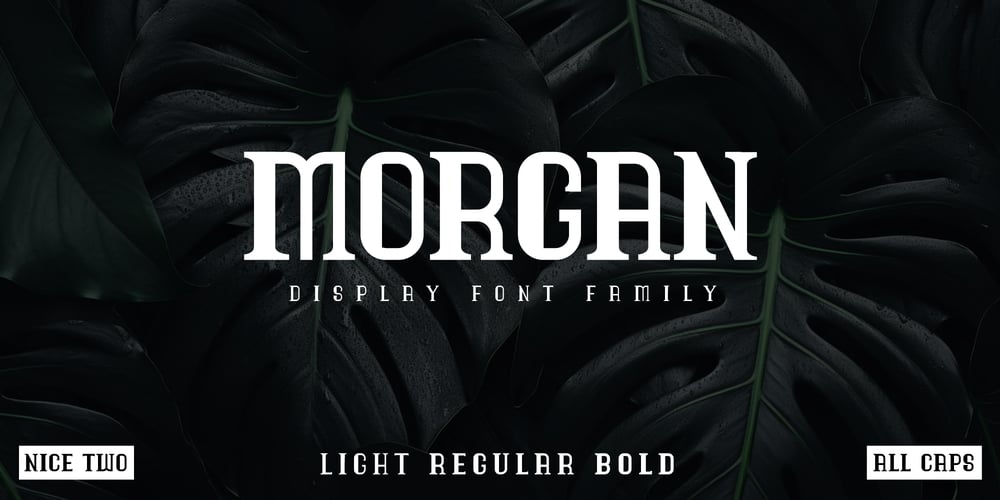 Morgan Nice Two font