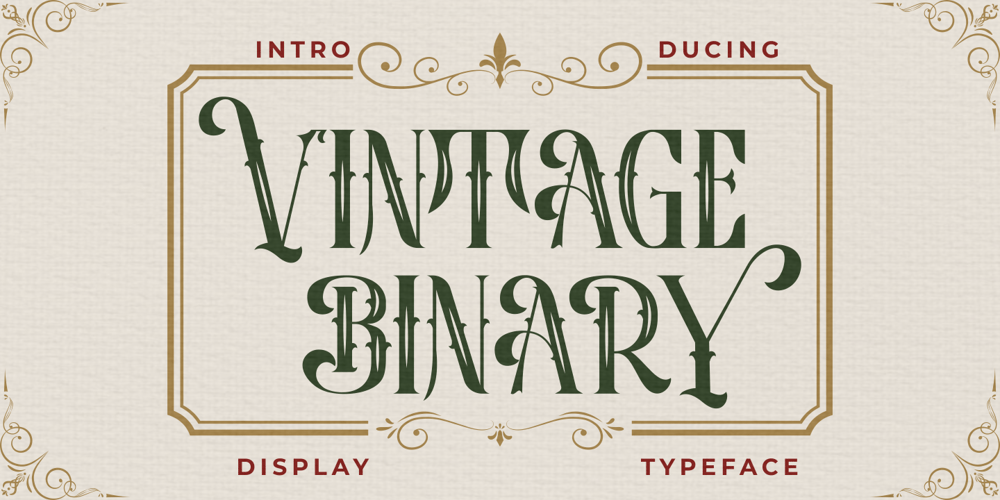Vintage Binary font