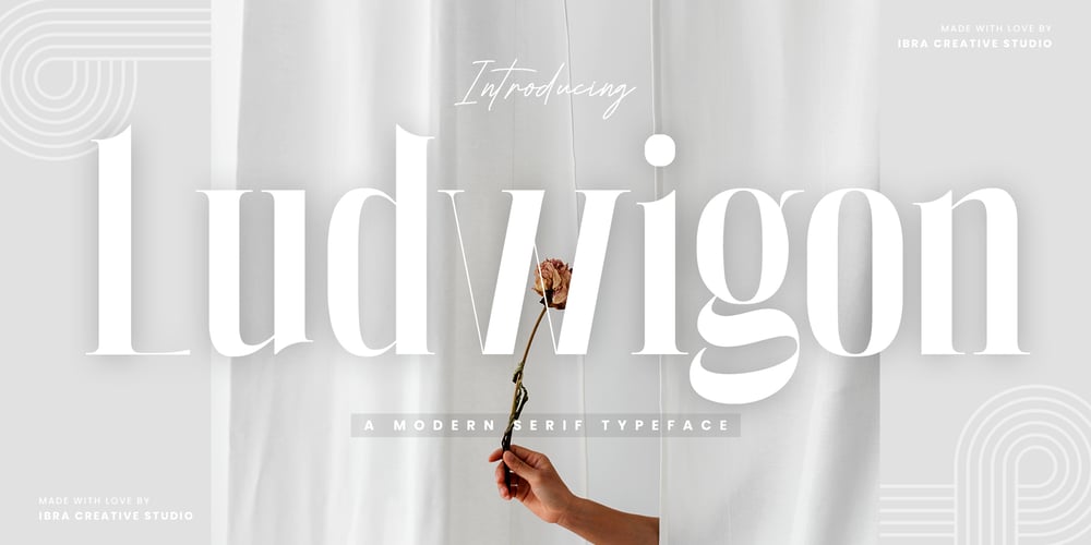 Ludwigon font