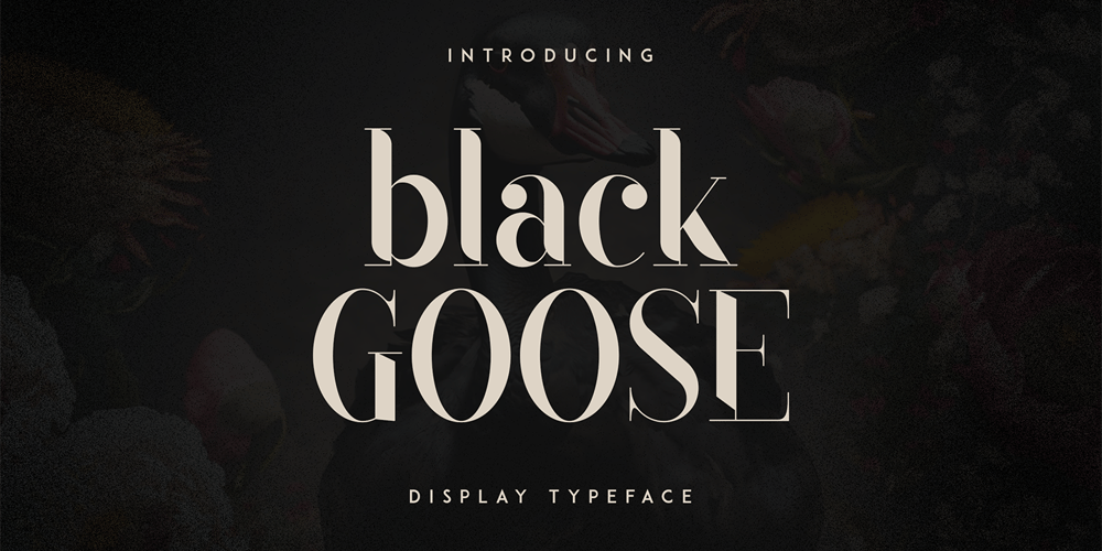 Black Goose font