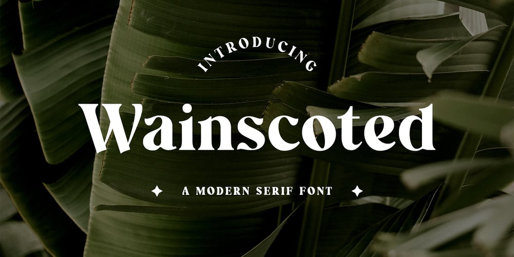 Wainscoted font