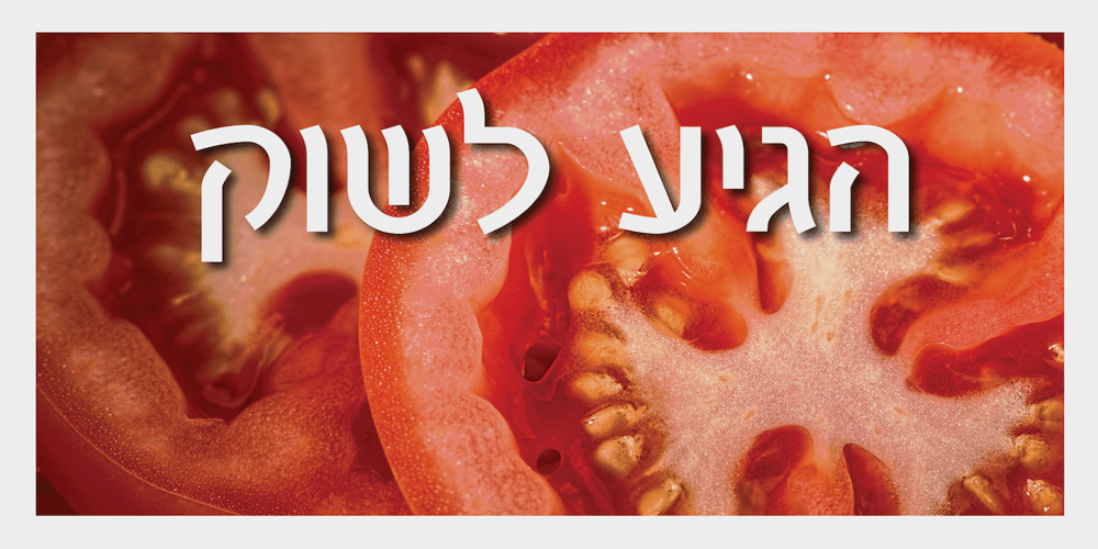 Emda MF font