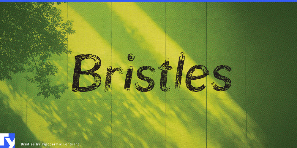 Bristles font