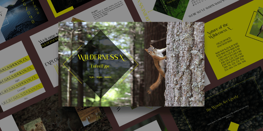 Wilderness X font