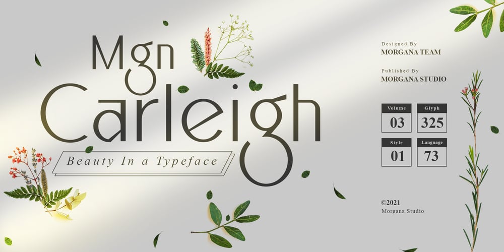 MGN Carleigh font