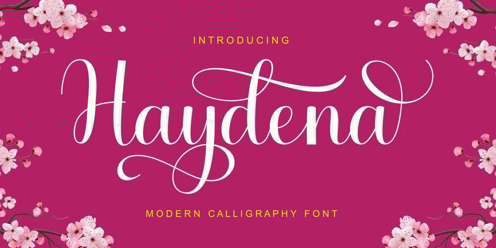 Haydena font