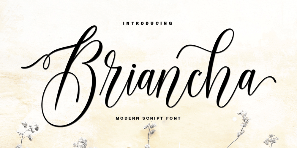 Briancha font